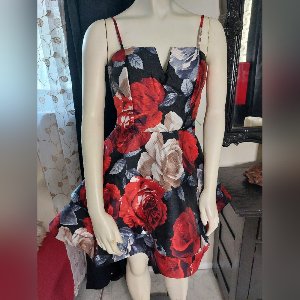 Trixxi Dress